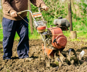 Man preparing garden soil with cultivator tiller new seeding season on home vegetable farm