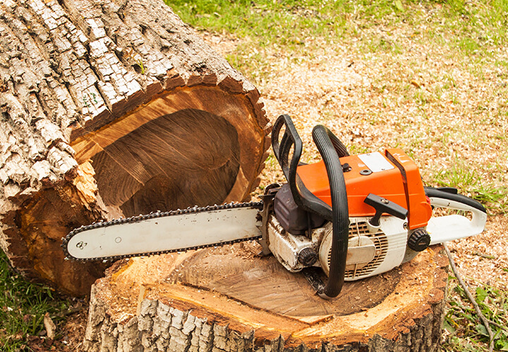 Chainsaw