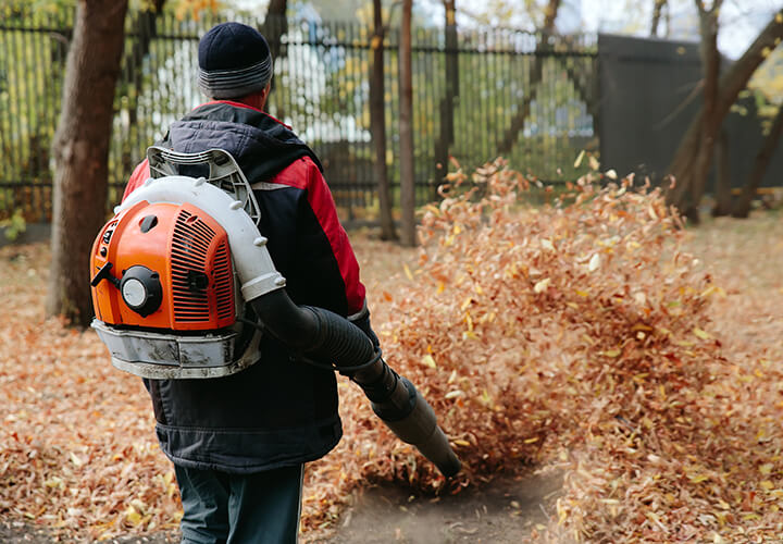Leaf Blowers
