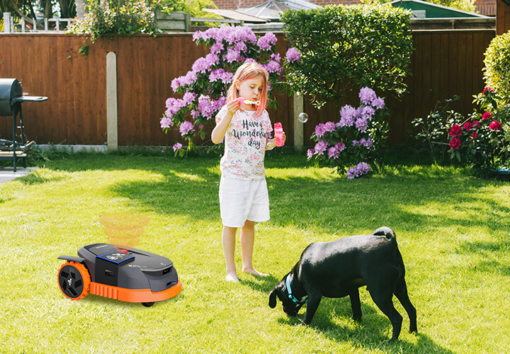 segway robotic mower in the garden