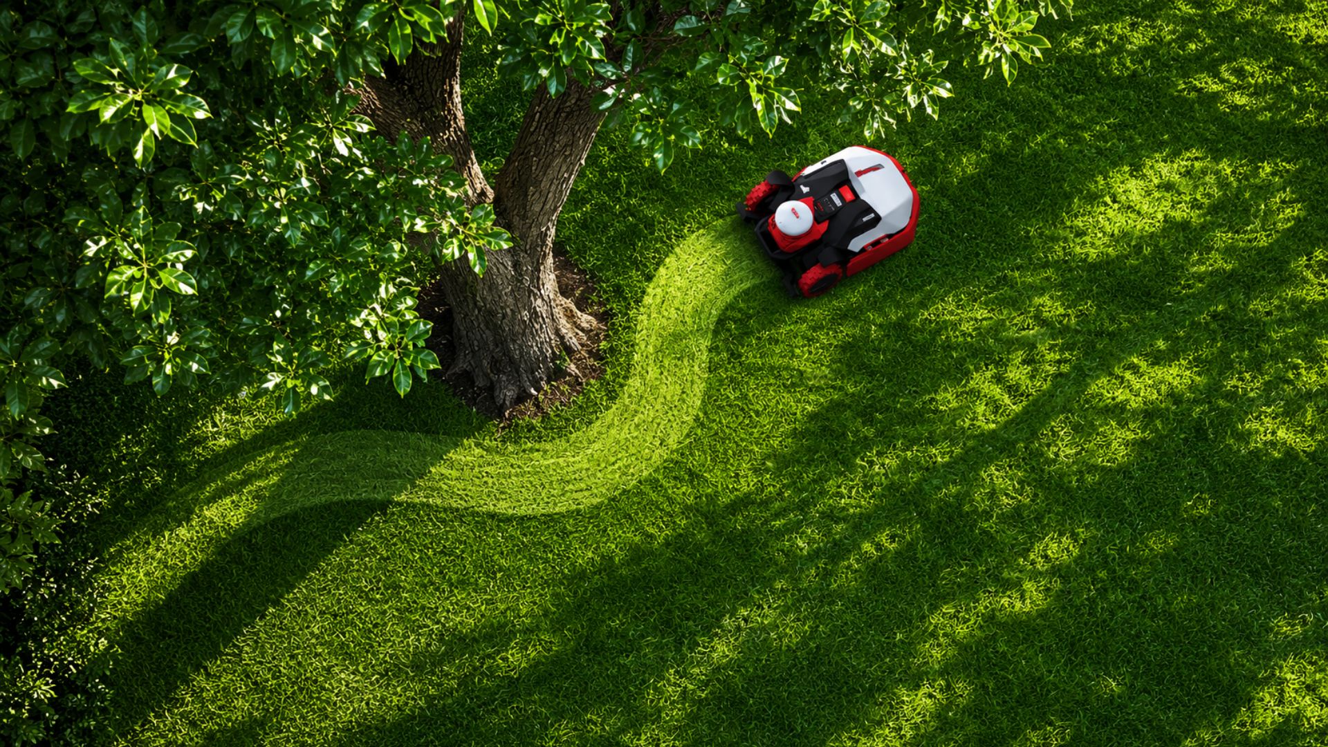Aerial view of a red robotic lawn mower navigating around a large tree while mowing a lush green lawn. 